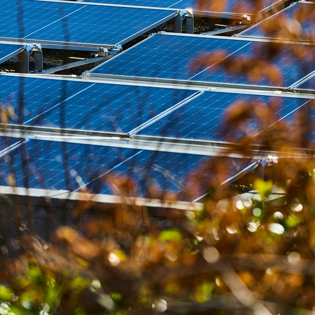 nano technologie fuer photovoltaik panels practical trade 1 1